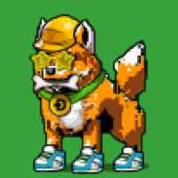 DogePunks #2305