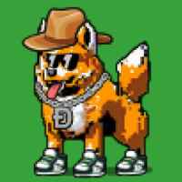 DogePunks #4472