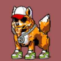 DogePunks #2660