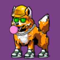 DogePunks #1188