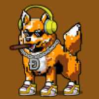 DogePunks #1169