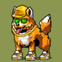 DogePunks #3325