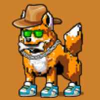 DogePunks #3572