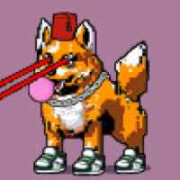 DogePunks #3102