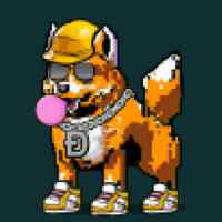 DogePunks #4794