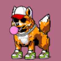 DogePunks #642