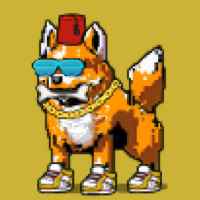 DogePunks #4672