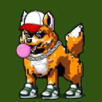 DogePunks #204