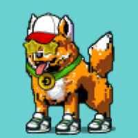 DogePunks #3031