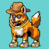 DogePunks #1673