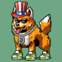 DogePunks #1823