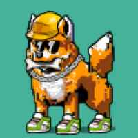 DogePunks #4276