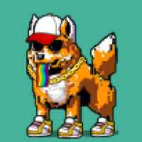 DogePunks #2848