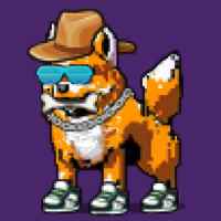 DogePunks #1732