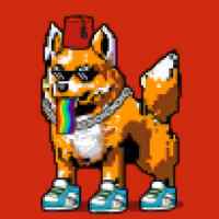 DogePunks #545