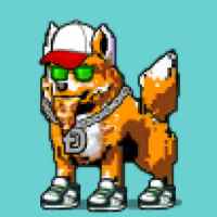DogePunks #459