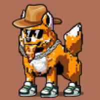 DogePunks #3072
