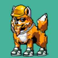 DogePunks #4907