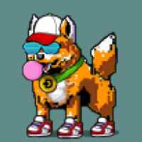 DogePunks #2028