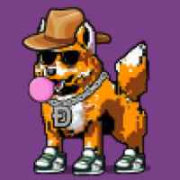 DogePunks #2417