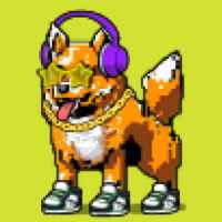 DogePunks #4101