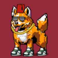 DogePunks #740