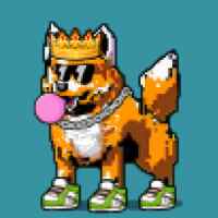 DogePunks #2205