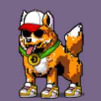 DogePunks #2290