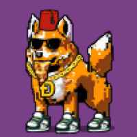 DogePunks #3658