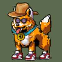 DogePunks #426