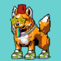 DogePunks #1002