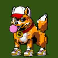 DogePunks #2502