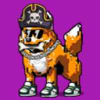DogePunks #502