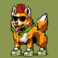 DogePunks #4363