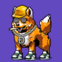 DogePunks #1150