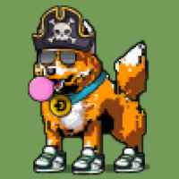 DogePunks #808