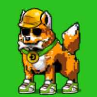 DogePunks #1338