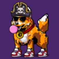 DogePunks #3041