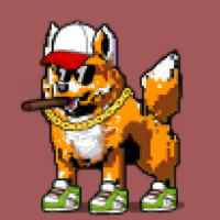 DogePunks #2129