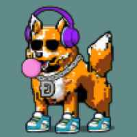 DogePunks #1662