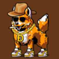 DogePunks #1066