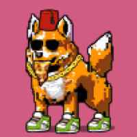 DogePunks #2796