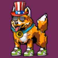 DogePunks #874
