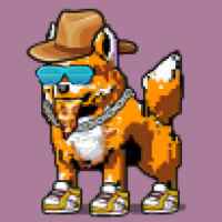 DogePunks #3552