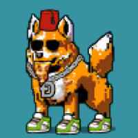 DogePunks #1700