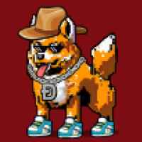 DogePunks #838