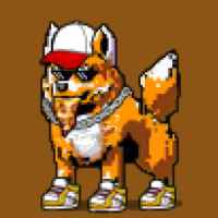 DogePunks #2440