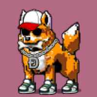 DogePunks #1040
