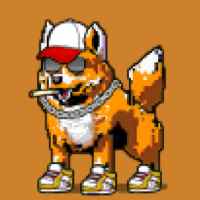 DogePunks #2951