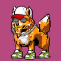DogePunks #4141